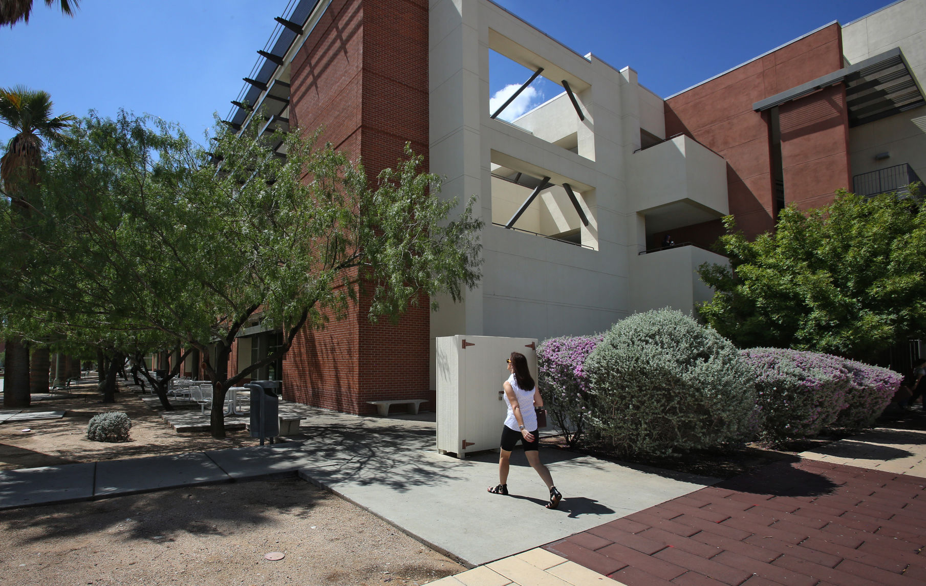 University of Arizona campus, 2016